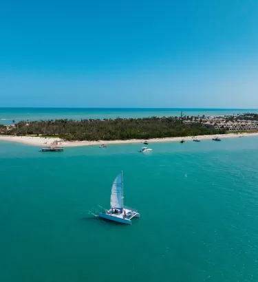 A sailboat in the ocean