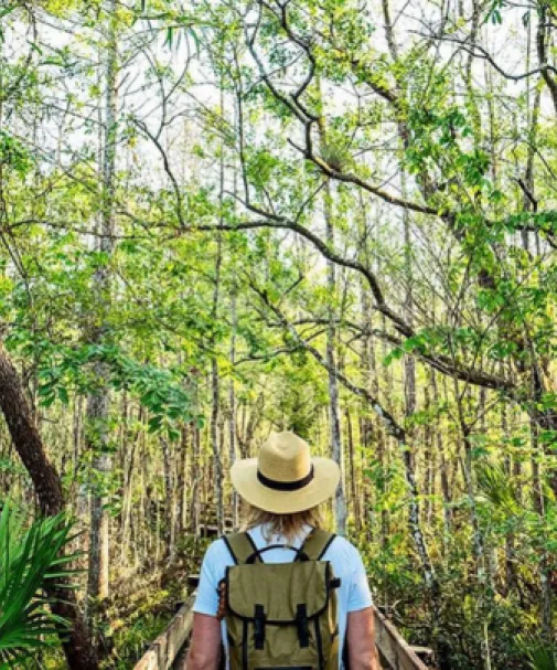 Explore the natural wonderland of Fort Myers on endless trails
