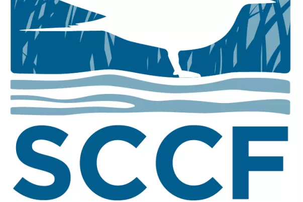 logo sccf